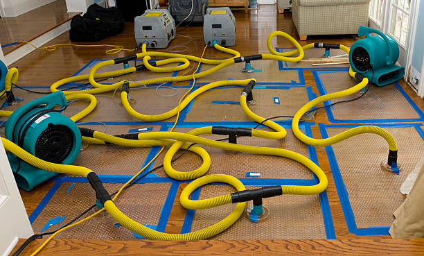 Professional Crawl Space Water Removal technician working in Avoca, MI